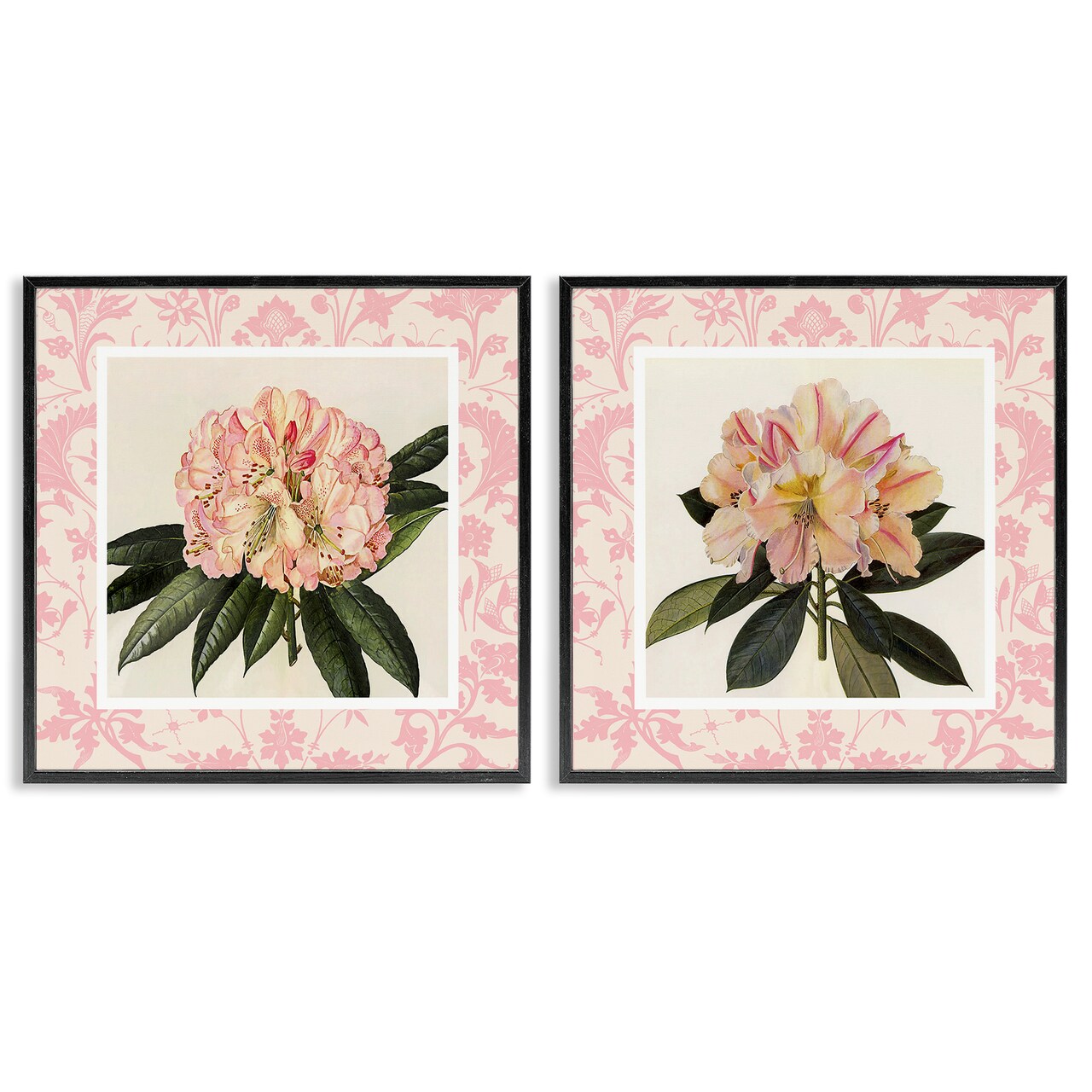 Stupell Industries Pink Vintage Pattern Botanicals 2pc Framed Giclee Set, design by Livi Finn